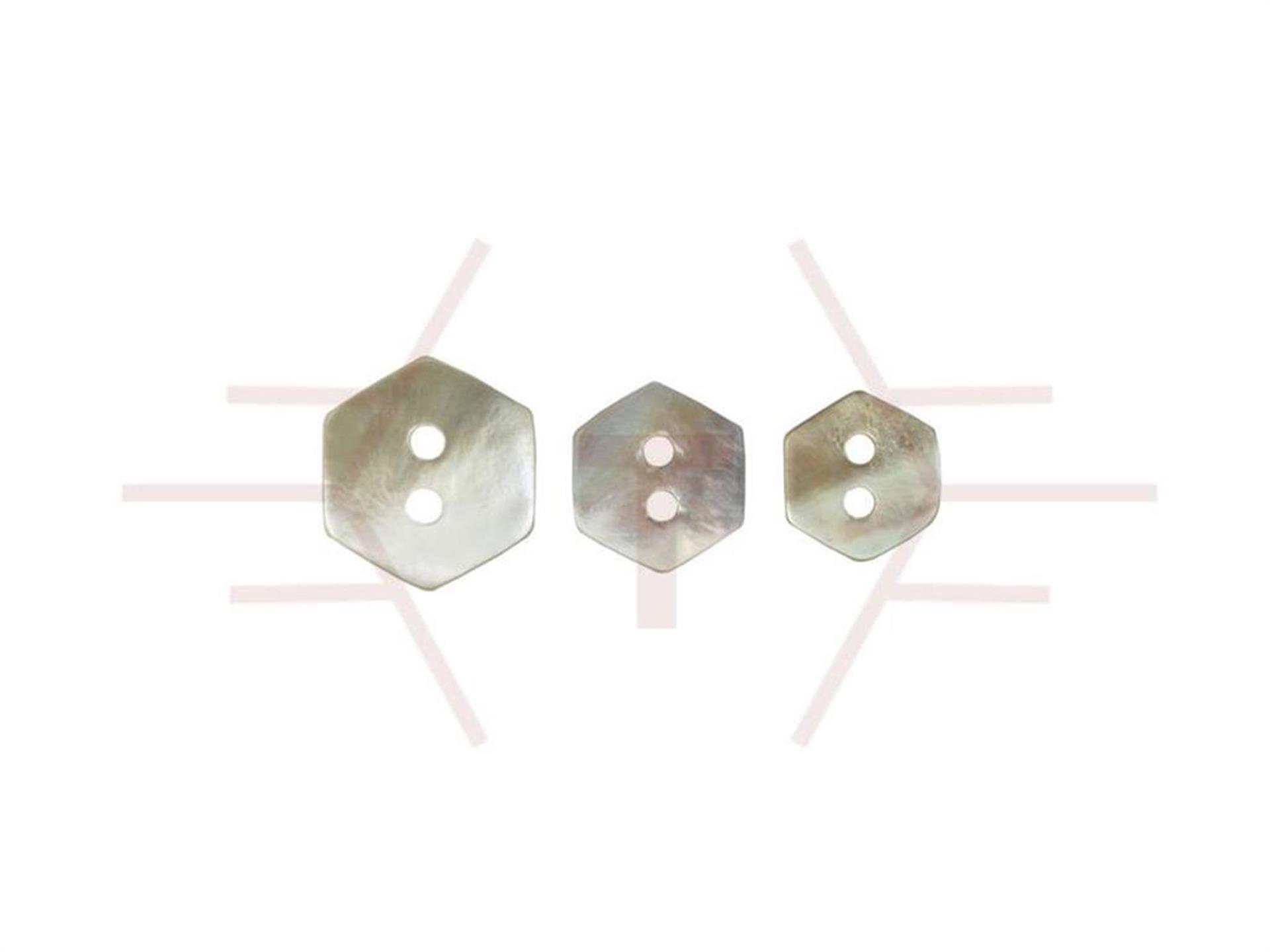 14 L Mother of Pearl Button Hexagon