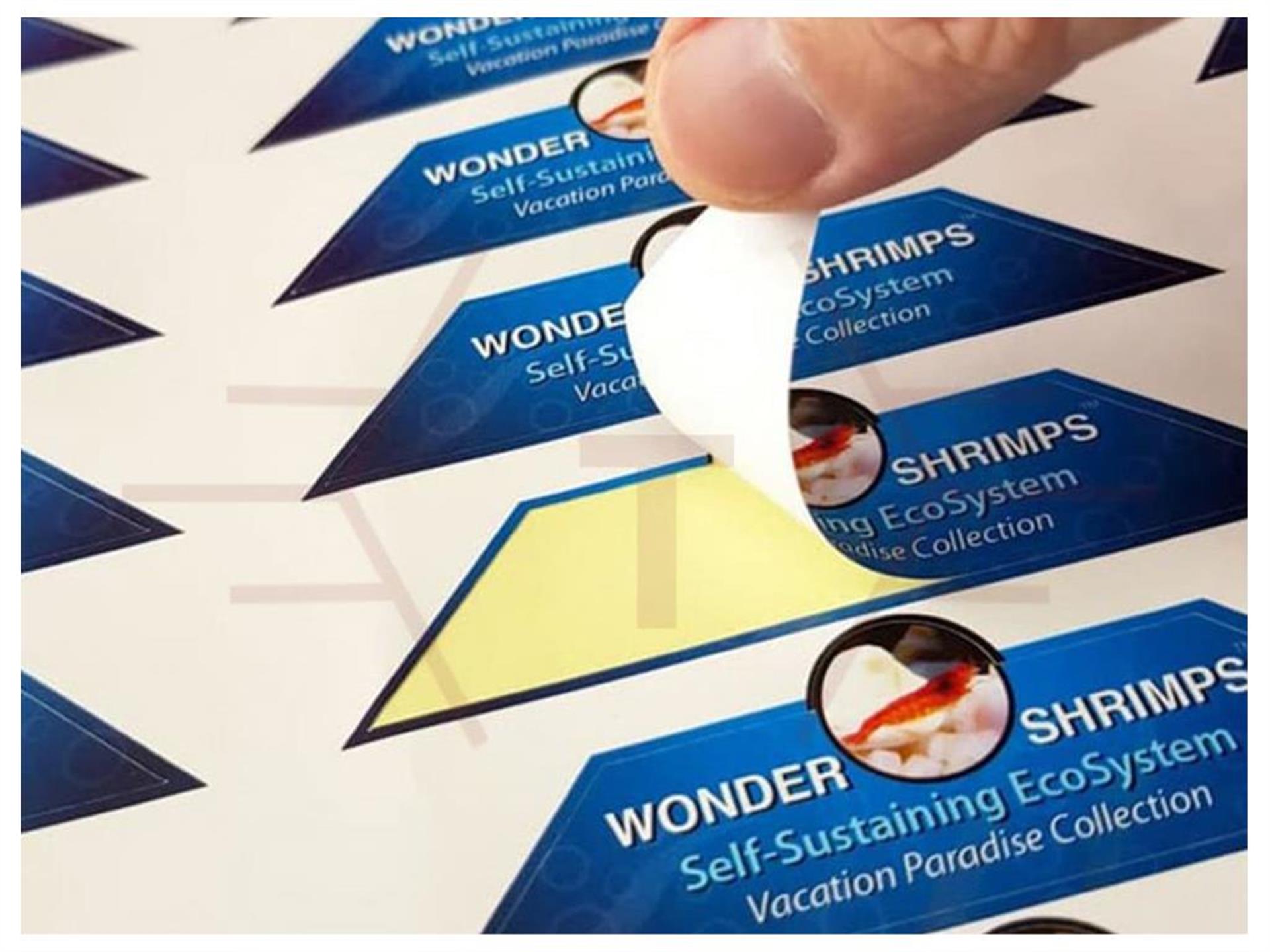 Sticker Label - 2