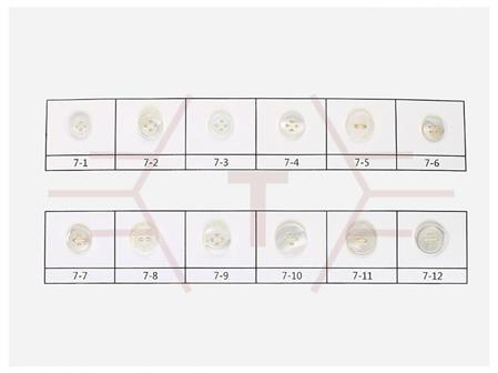 White Trocas Button